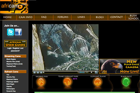 Africam Website